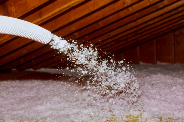 Best Residential Insulation in Clemson, SC